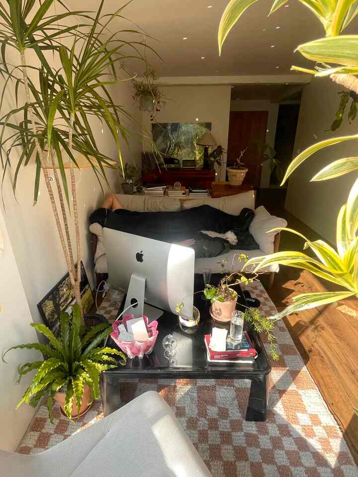 Natural wood tone floor and cream sofa in a cozy living room with large plants for a 4-person household