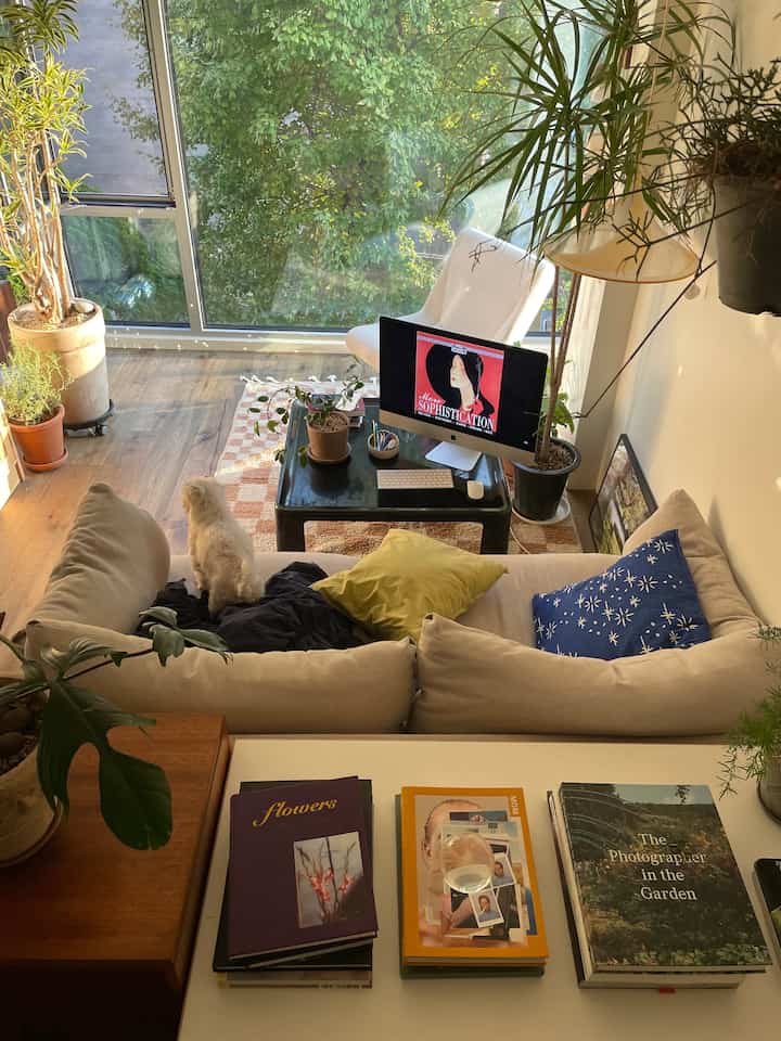Bright natural living room featuring beige sofa and green plants, doubling as a cozy home office space