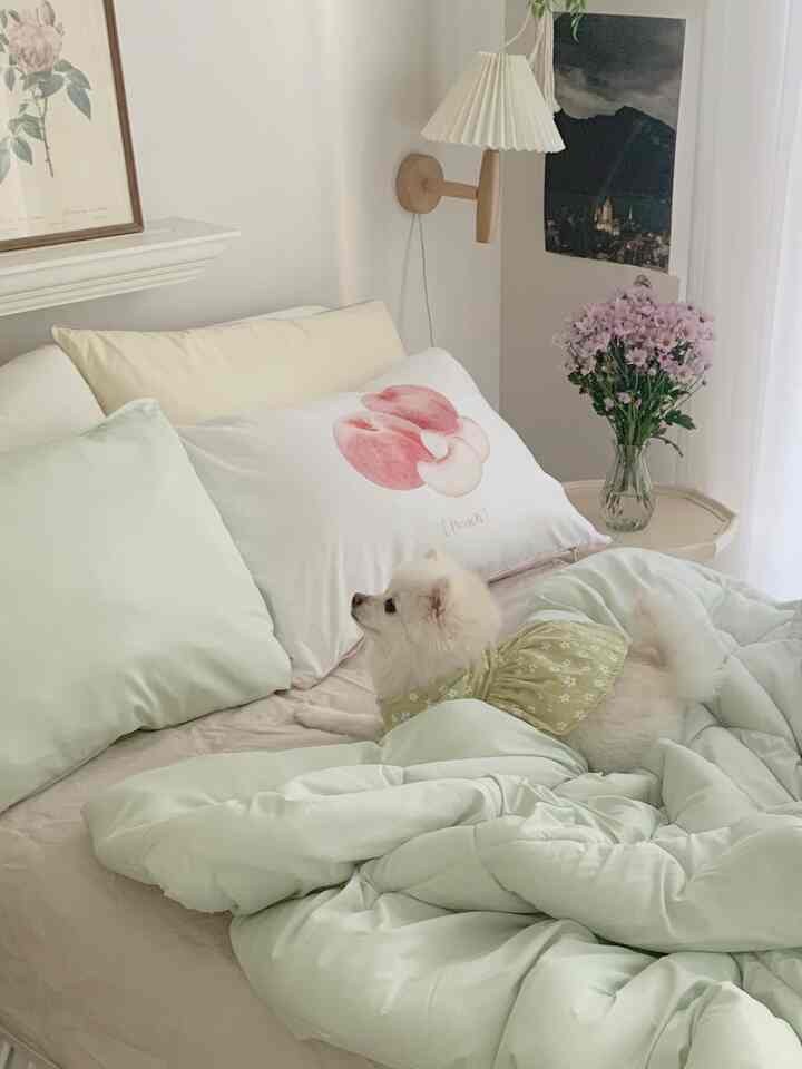 Natural color and white-toned bedroom featuring a cozy bed with a small dog creating a warm atmosphere