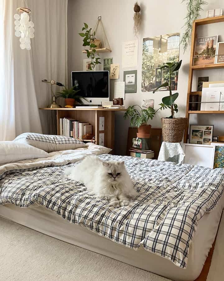 Natural toned living room-double as bedroom, featuring a white cat on checkered bedding, desk with computer, and plants for a cozy atmosphere