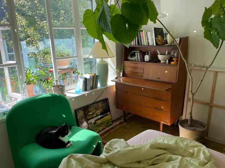A natural-toned living room with green armchair and wooden desk near a large window, featuring plants and cozy sunlight ambiance