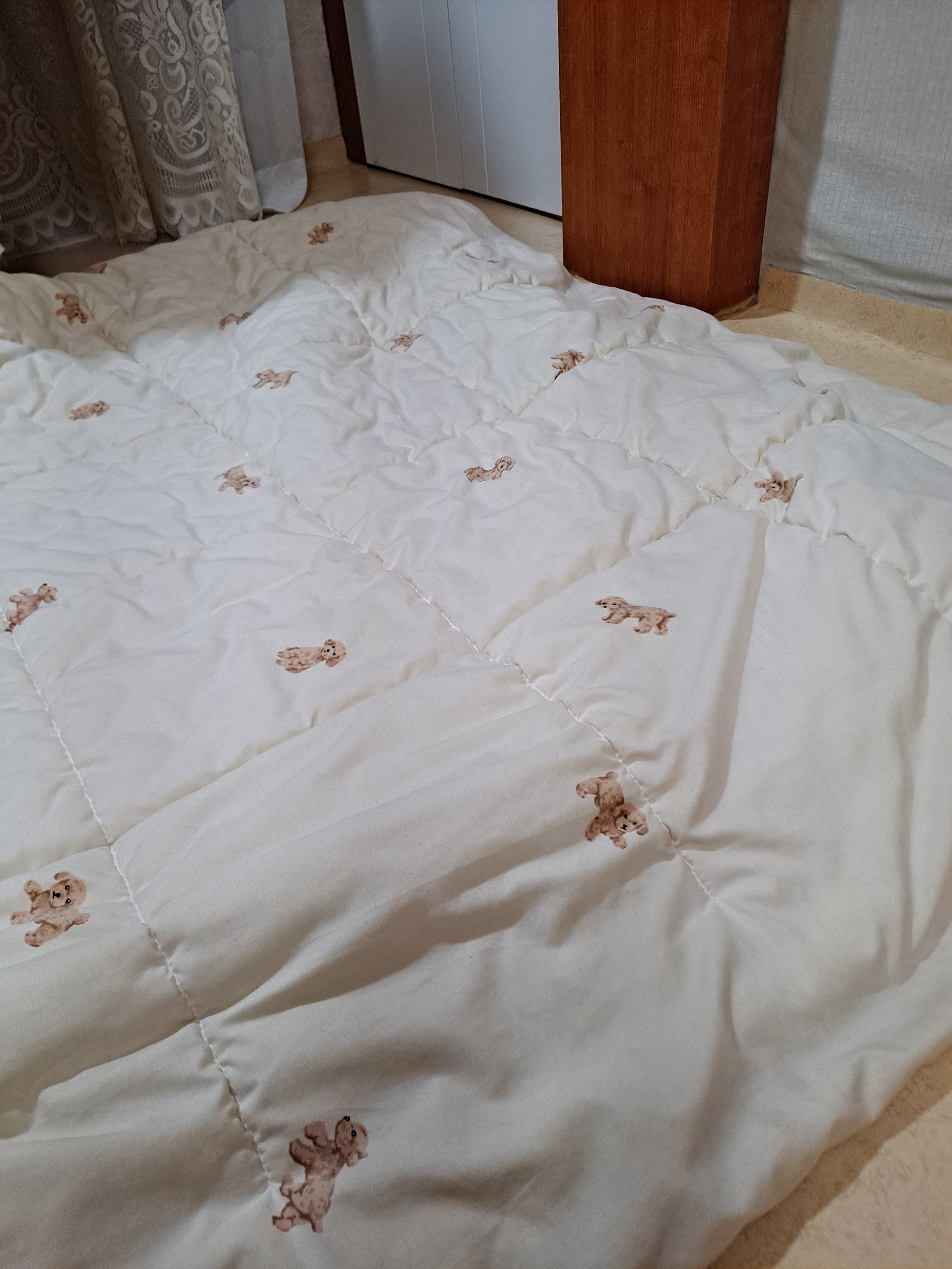 Soft Cream Peach Comforter & Pillow Set user photo