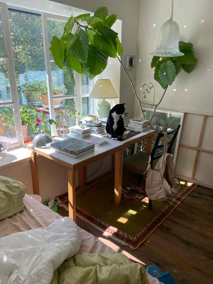 Natural color and yellow toned bedroom home office space featuring a desk with a cat sitting on it and large plants creating a cozy atmosphere