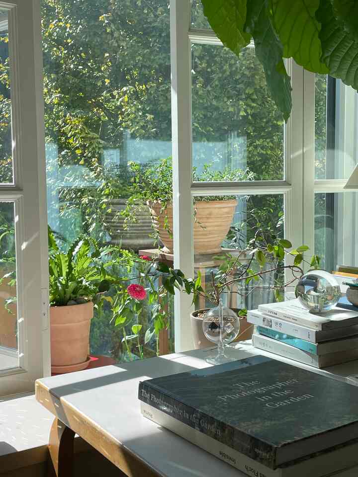 Natural-toned workspace with green plants and terracotta pots by sunlit windows