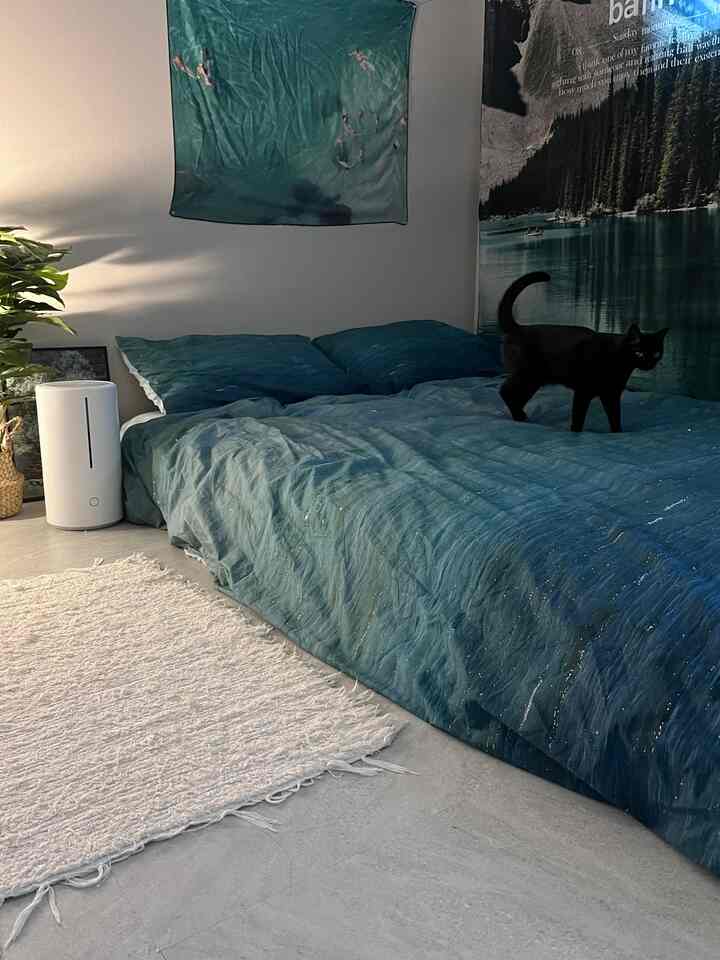 ブルーの寝具とカーテン、黒い猫がいる居心地の良い寝室