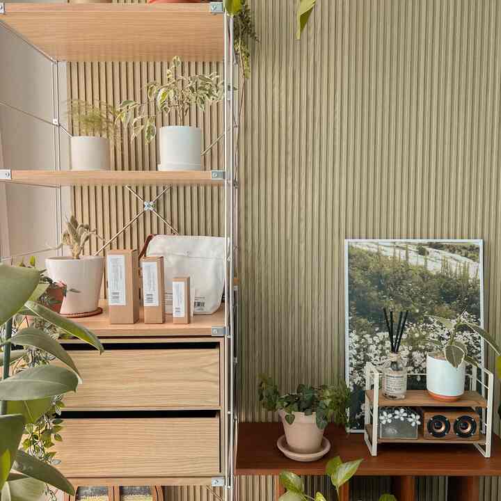 Natural brown wood tone wall with various plants and shelves arranged in cozy interior space