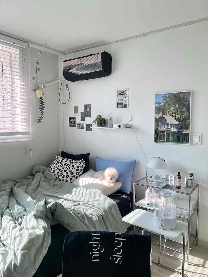 Mid-Century Modern bedroom in white and black tones featuring a resting pet and neat decor
