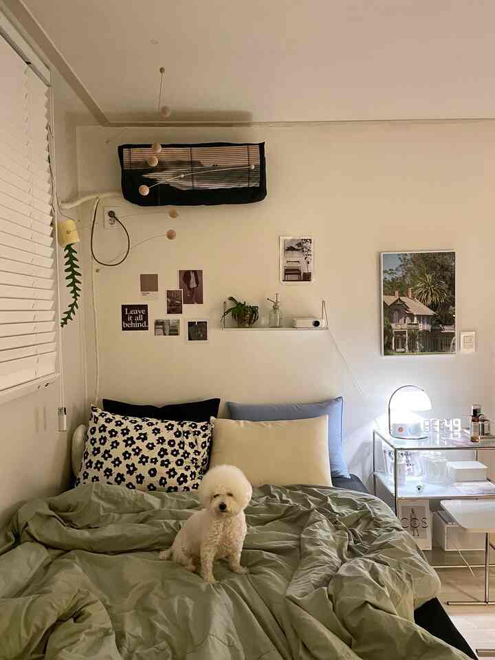 Natural toned bedroom with a central bed and pillows, featuring a small white dog sitting on the bed in a simple space