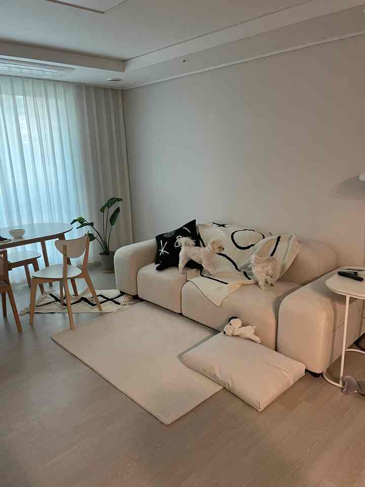 白とベージュの色調のリビング、クリーム色のソファとダイニングテーブルが配置され、犬がいる自然でモダンなインテリア