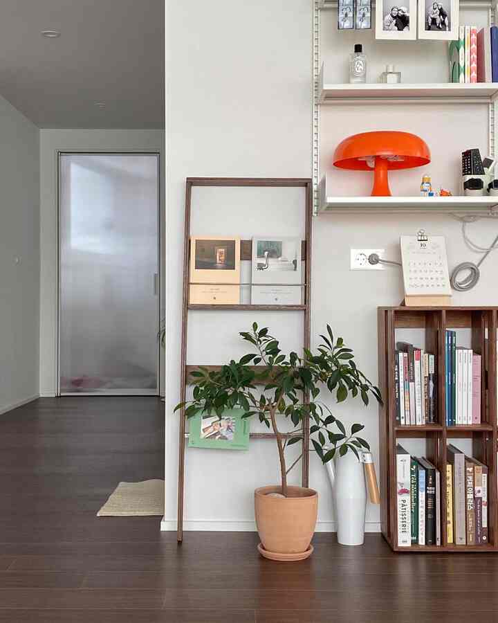 Natural modern room with dark brown flooring and white walls, featuring plants and bookshelves in a tidy space