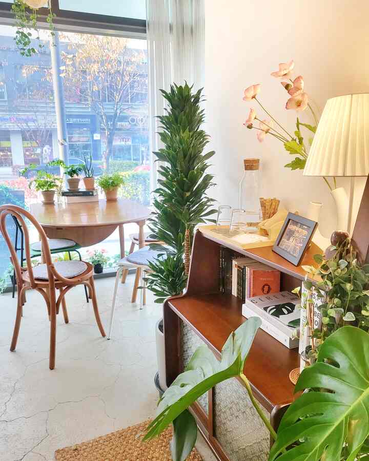 白と茶色のトーンが映えるカフェ風の空間、窓辺に木製のダイニングテーブルと椅子、右側にコンソールテーブルと複数の植物が配置された雰囲気のあるインテリア