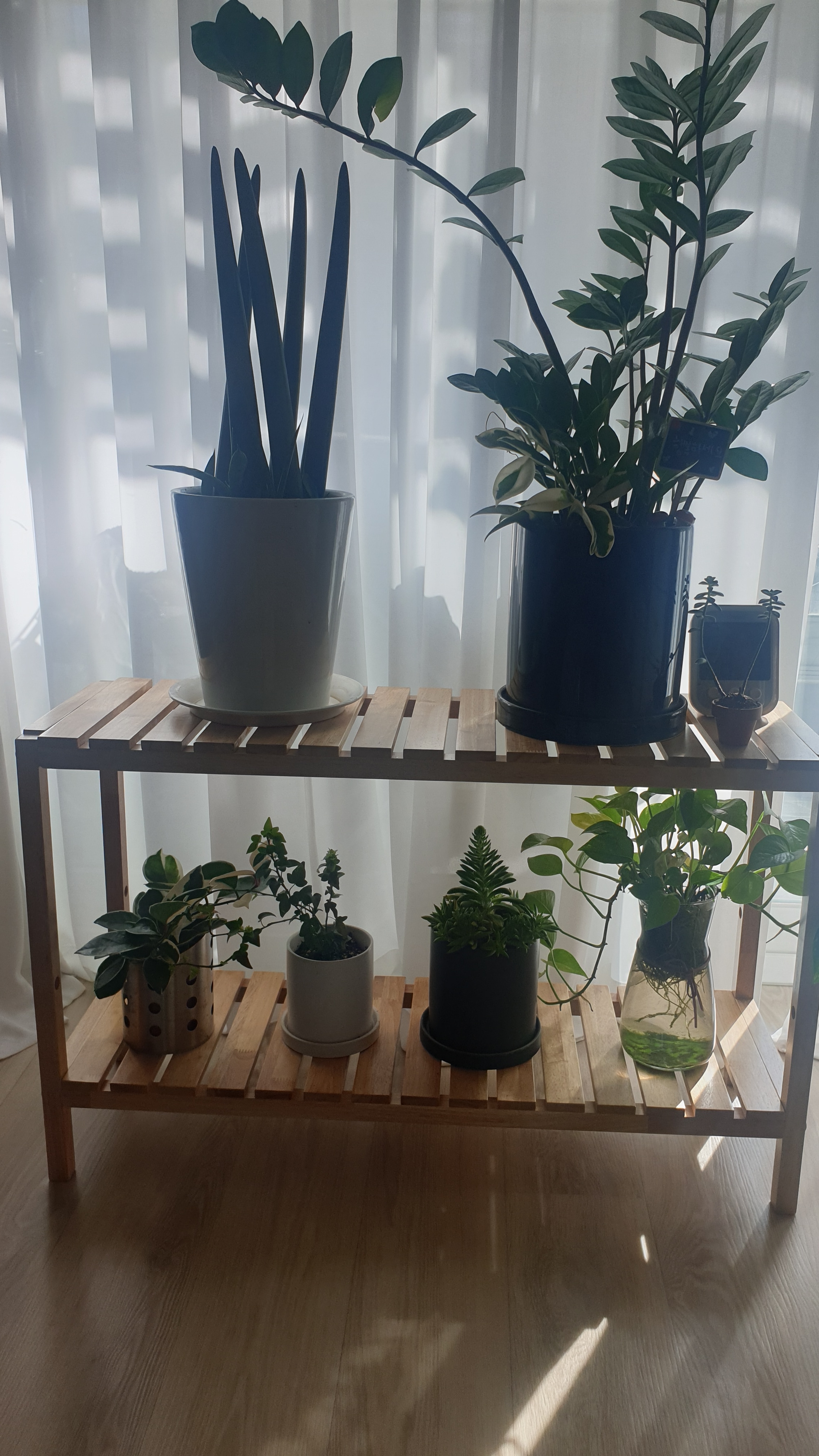 Solid Wood Plant Stand user photo