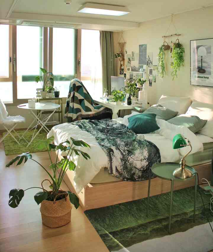 Bright ivory and wood tone studio bedroom with bed and multiple plants, bathed in morning sunlight creating a natural atmosphere