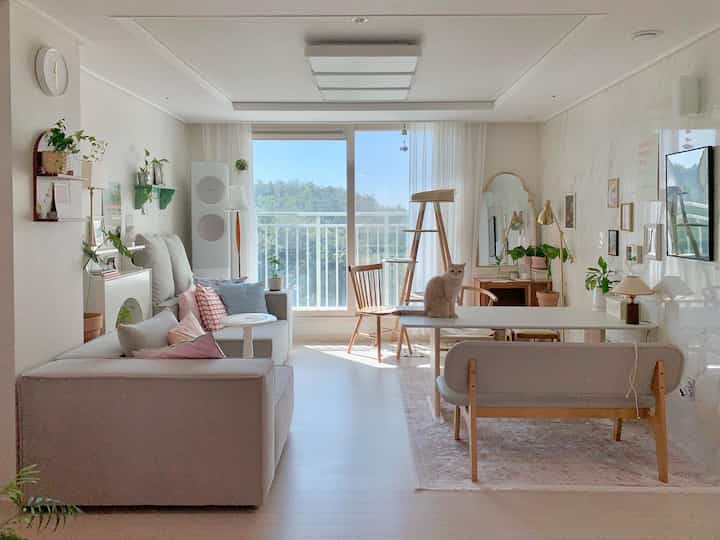 Bright natural and white toned living room featuring wooden furniture and a cat by the window, creating a cozy atmosphere