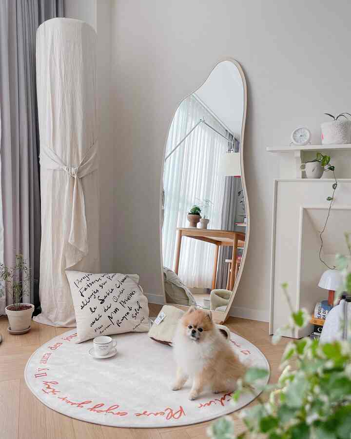 White and beige toned living room featuring a curved full-length mirror, a fluffy dog, and a round rug with a cozy atmosphere