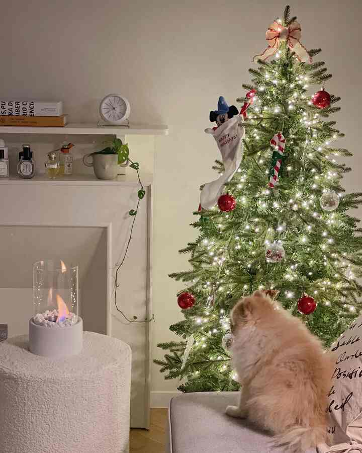 Tree, fireplace, and fire pit ready for winter ♥︎♥︎♥︎