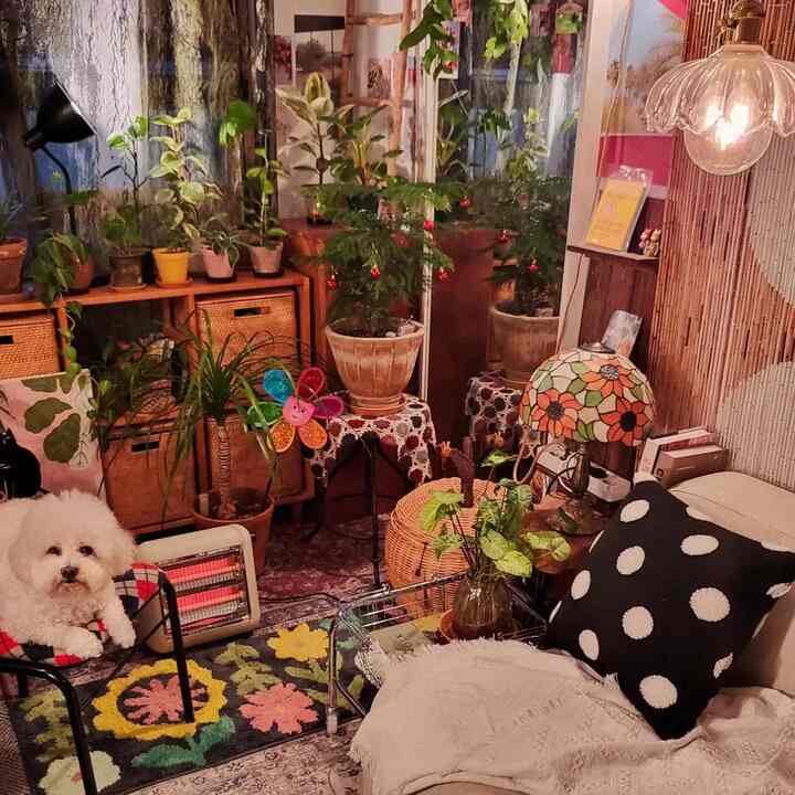 Natural toned living room featuring diverse plants, multifunctional storage baskets, and a cozy dog presence