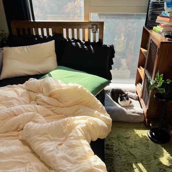 ナチュラルな色調の寝室、木製ベッドと緑のカーペットが配置され、窓際にペットの猫がいる雰囲気のあるインテリア