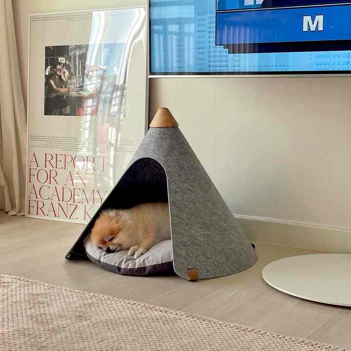 A light gray pet house with a sleeping Pomeranian dog on a beige rug in a natural tone living room space