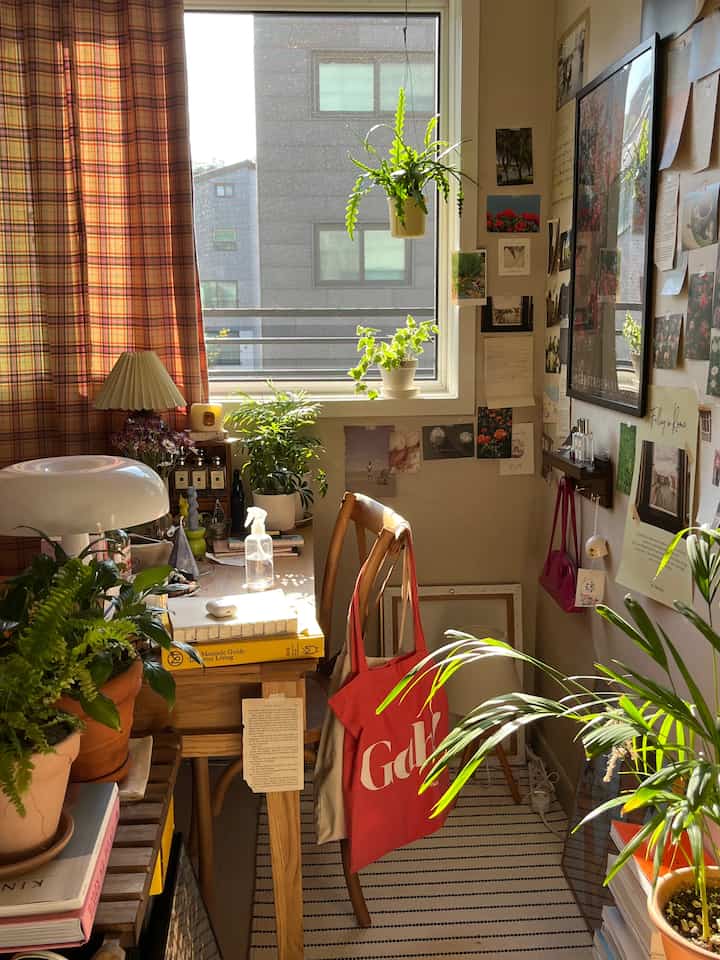 A desk area where plants grow one by one