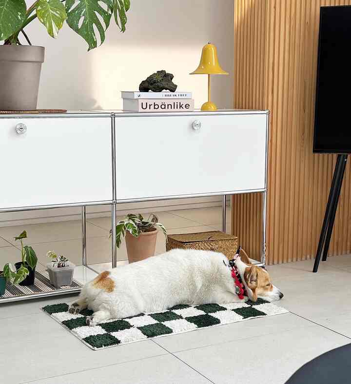 Natural color and white-toned living room featuring a white dog resting on a checkerboard rug