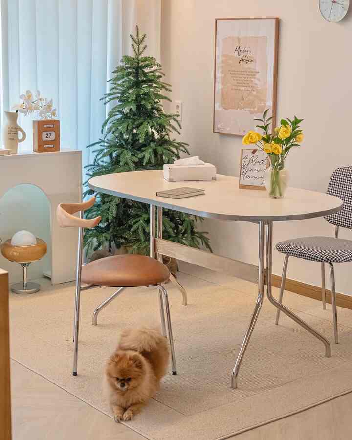 Bright white-walled living room with natural wood dining table, two chairs, indoor green plant, and a small fluffy dog