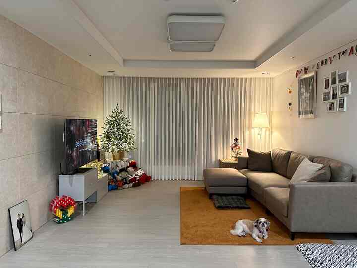 White and brown toned living room featuring a Christmas tree, sofa, and a pet dog creating a warm festive atmosphere