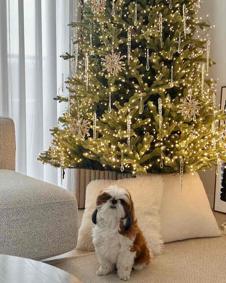 Natural toned living room featuring a large decorated Christmas tree with a brown and white dog sitting in front of a beige sofa, creating a cozy atmosphere
