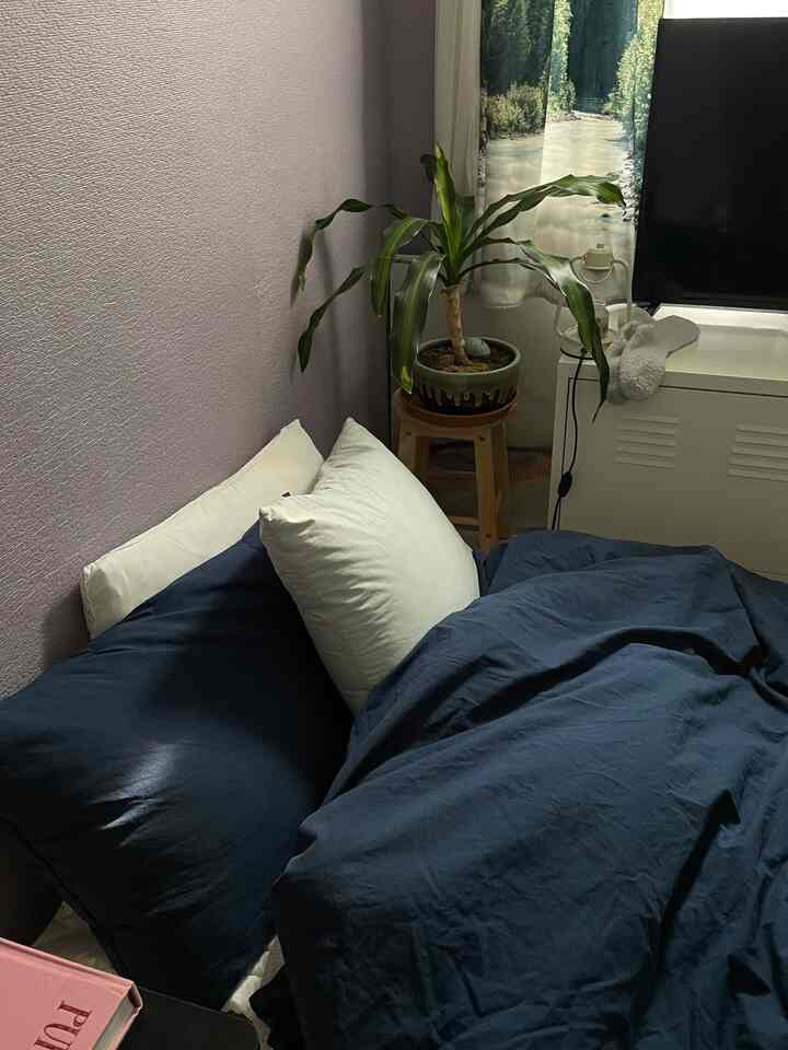 Navy and white toned bedroom featuring pillows, bedding, and a plant on a wooden stool creating a cozy atmosphere