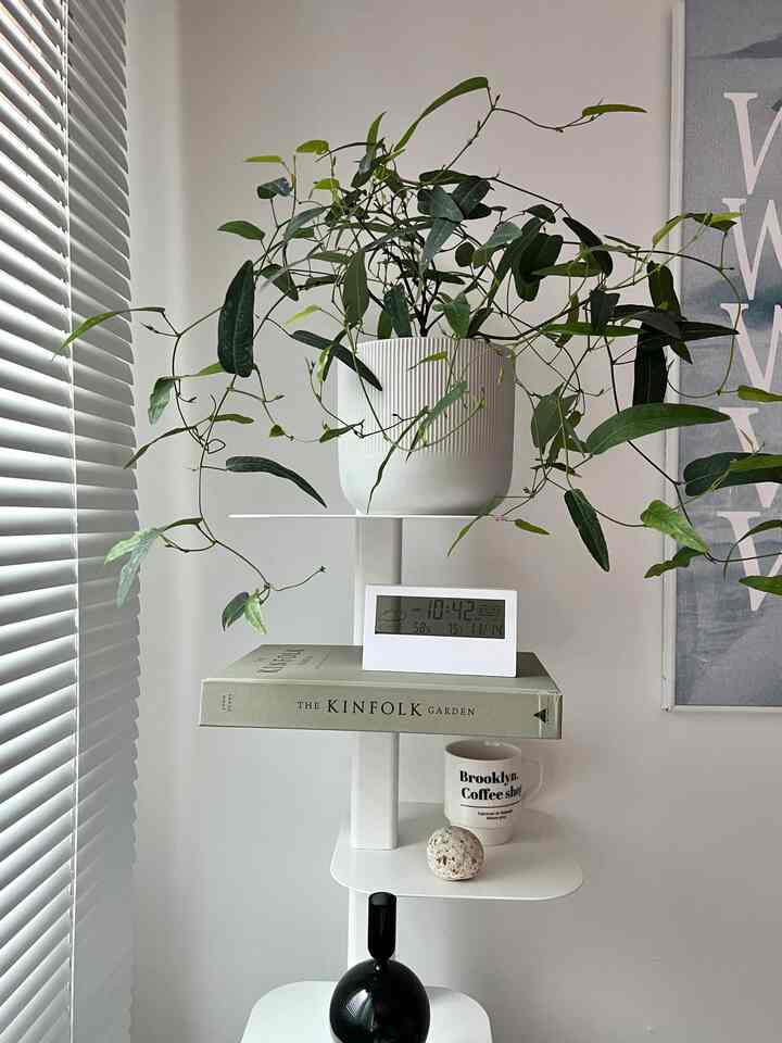 Minimal shelf space in white and green tones featuring a digital clock, potted plant, and coffee mug with clean aesthetic