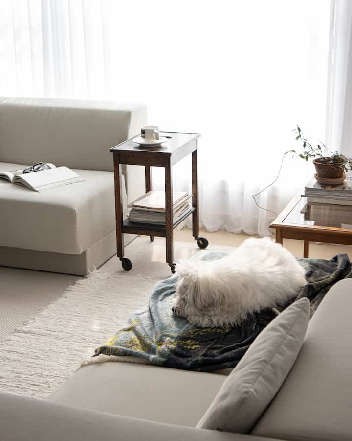 Soft beige-toned living room featuring two sofas, a wooden side table, and a white dog lying on a blanket, creating a cozy atmosphere
