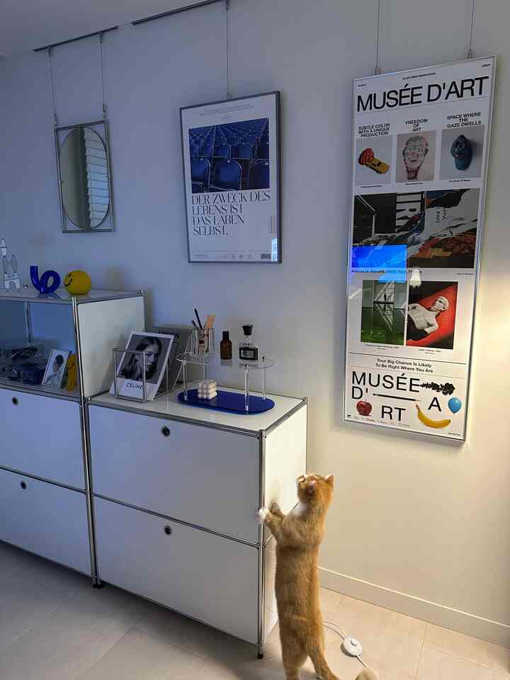 白い壁の部屋にミニマルなモジュール収納家具が置かれ、猫が額縁を見上げている雰囲気のあるインテリア