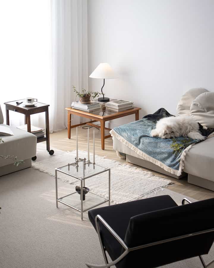 Bright white-toned living room with natural light, wooden furniture, and a cozy sofa featuring a dog