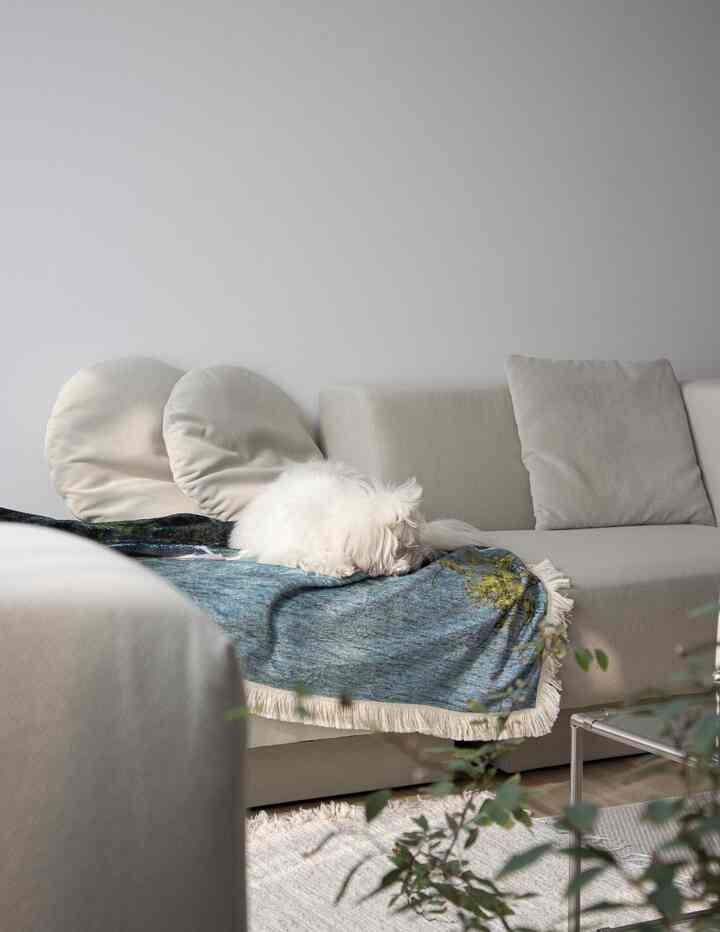 Beige-toned living room featuring a large sofa with a white dog resting on a blue textured blanket, creating a natural and cozy atmosphere