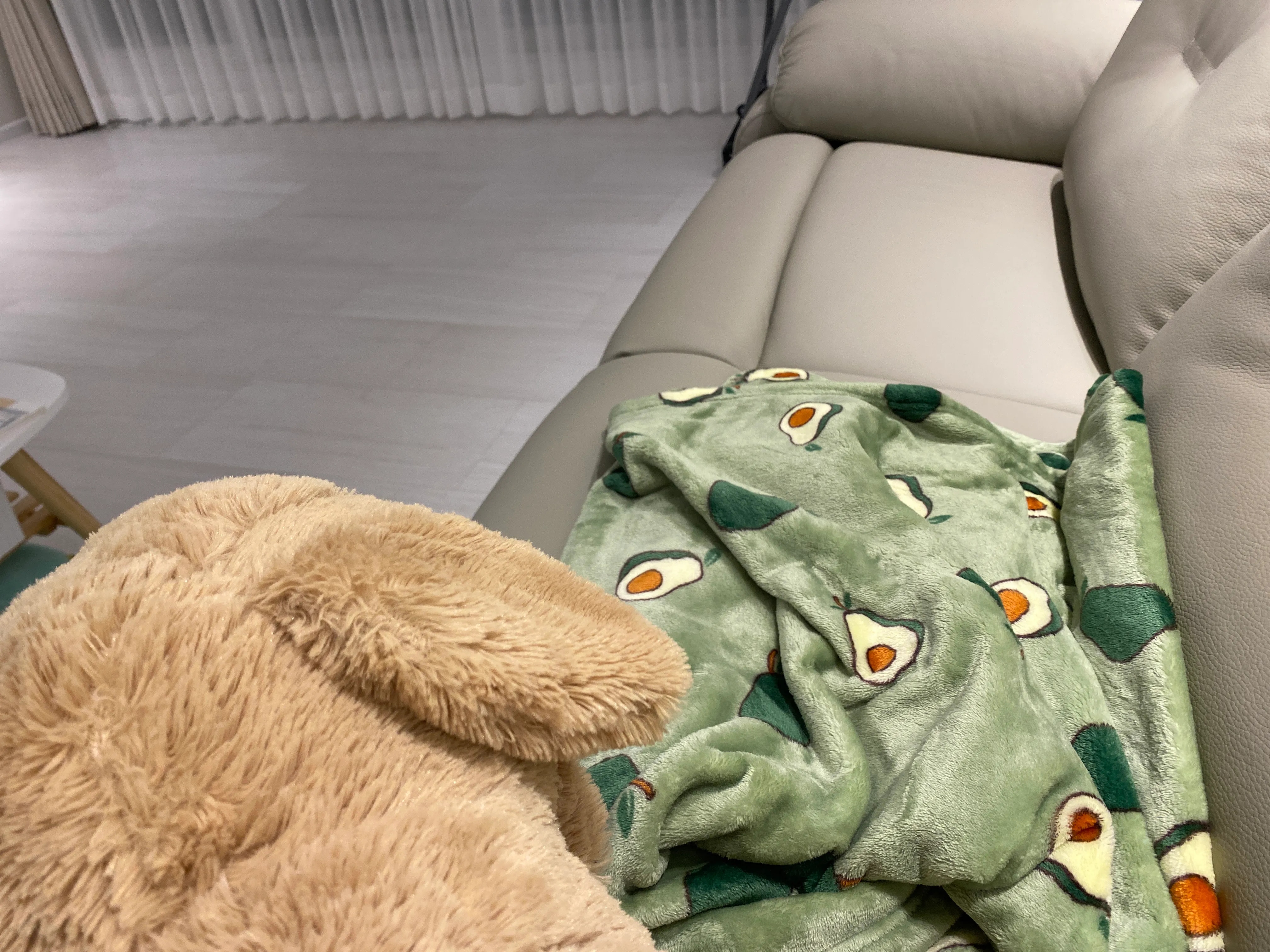 Avocado Microfiber Blanket & Comforter user photo