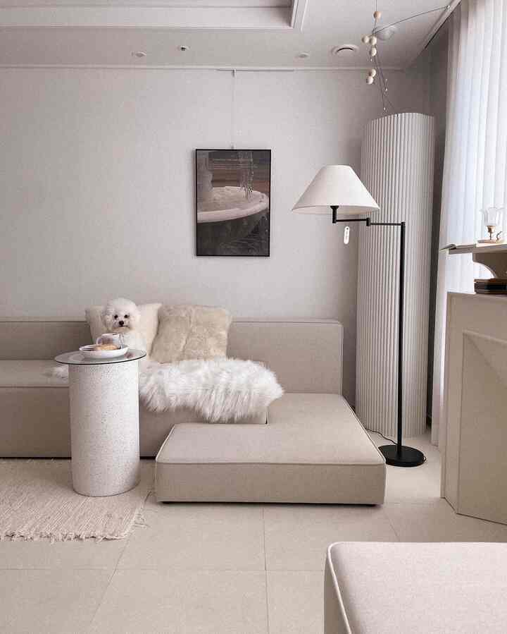 Beige and white toned living room featuring modern sofa, floor lamp, and a pet dog with a simple natural interior