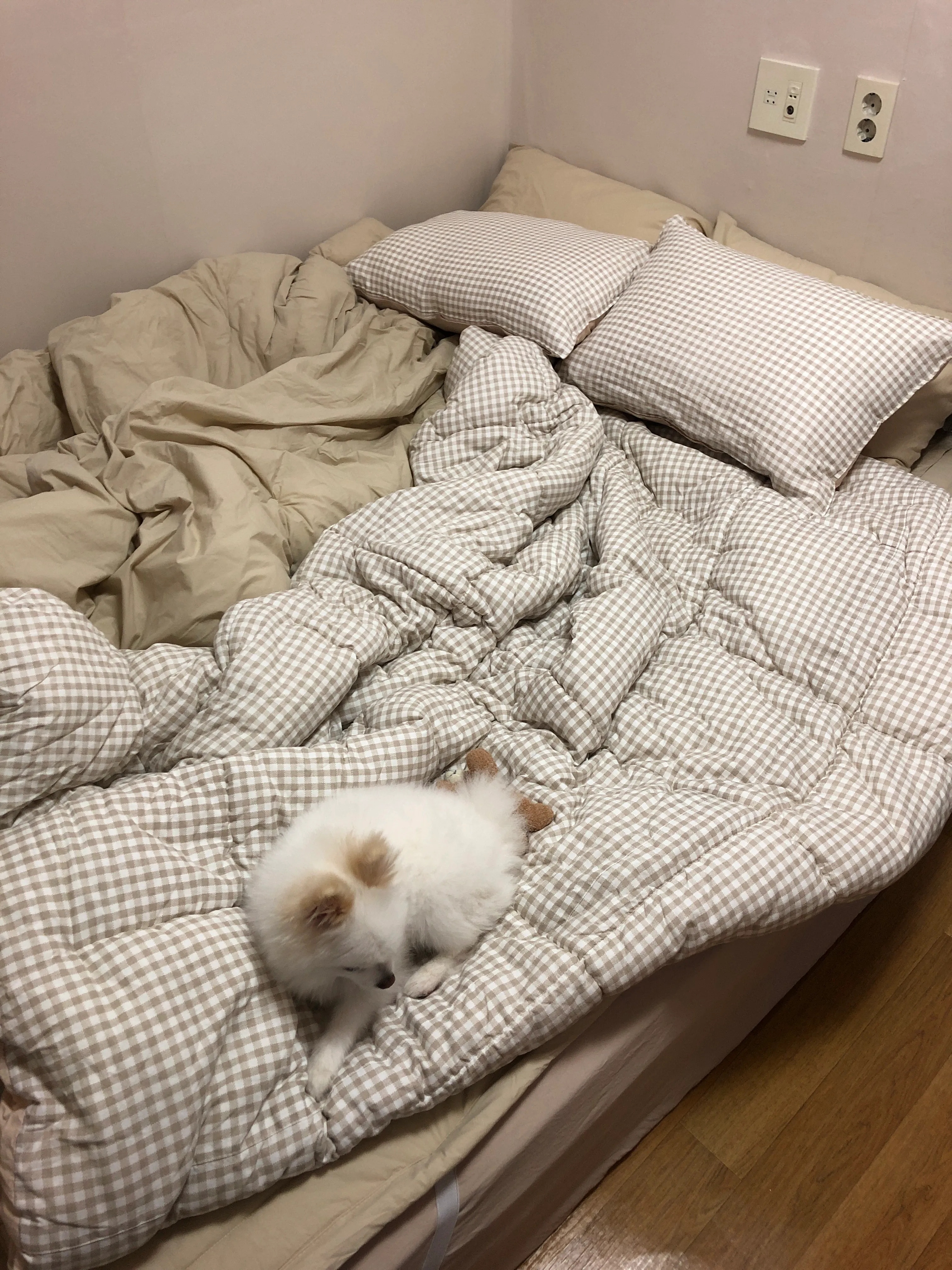 Pure Touch Antibacterial Washed Mattress Fitted Sheet user photo