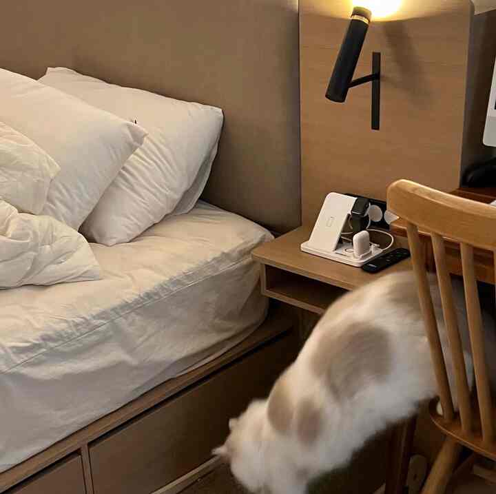 Beige-toned studio bedroom featuring wood tone bed, nightstand, and desk with a cozy atmosphere