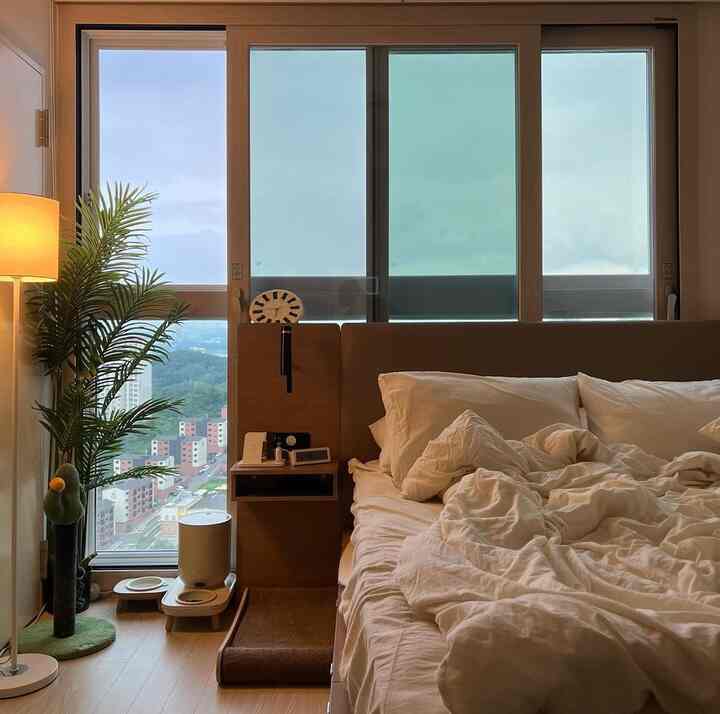 Beige and brown toned studio bedroom featuring a bed, floor lamp, and plant by the window with a warm natural atmosphere