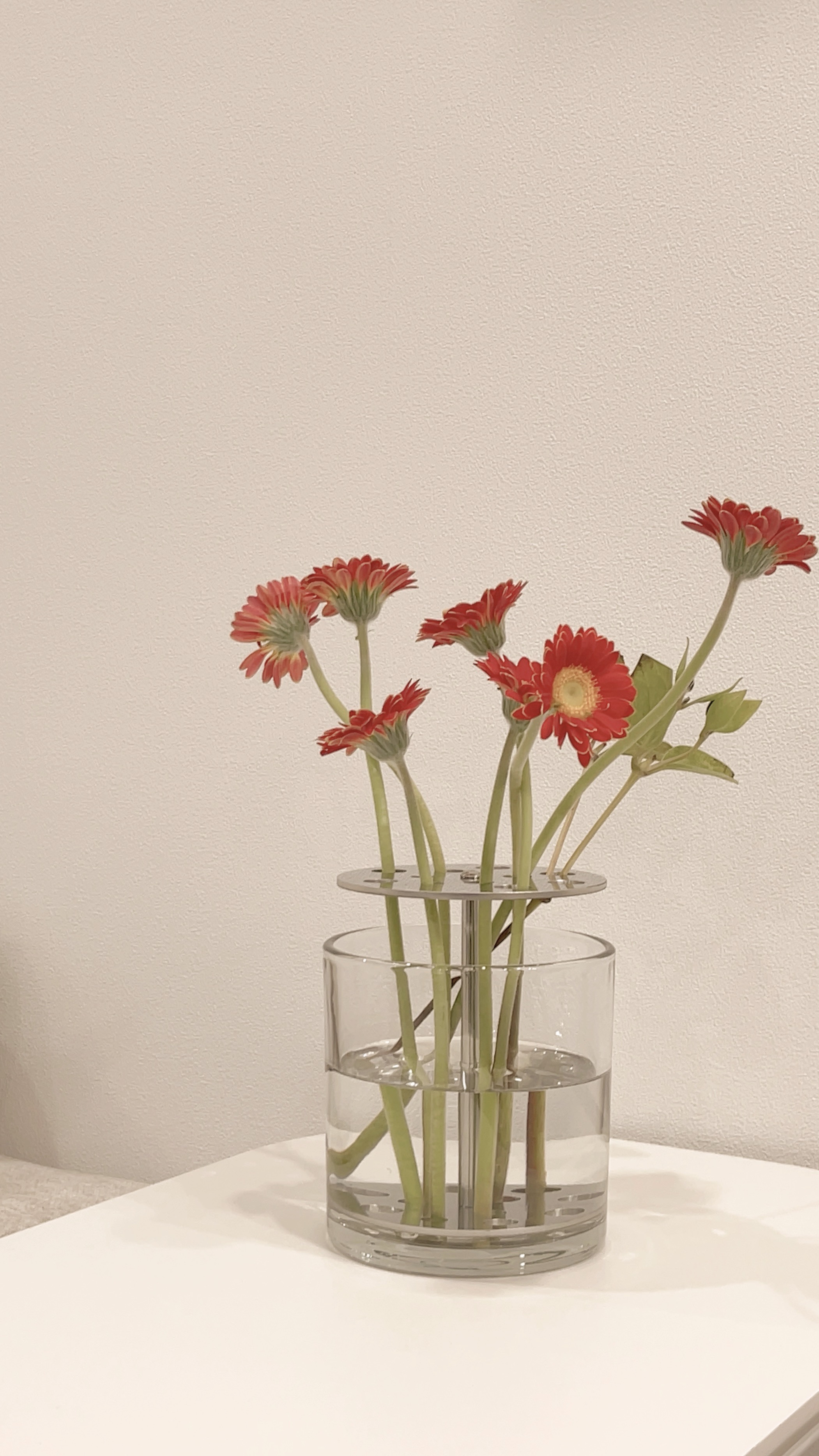 Nerja Stainless Ikebana Vase user photo