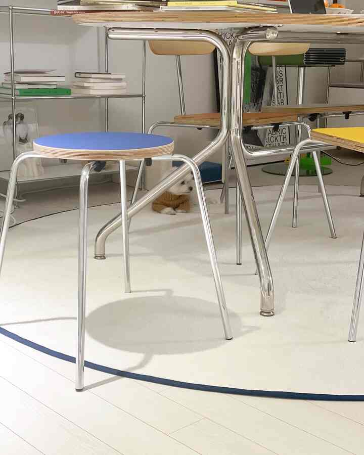 A white and pastel toned dining room featuring metal-legged wooden chairs and a table with a small dog resting on the rug