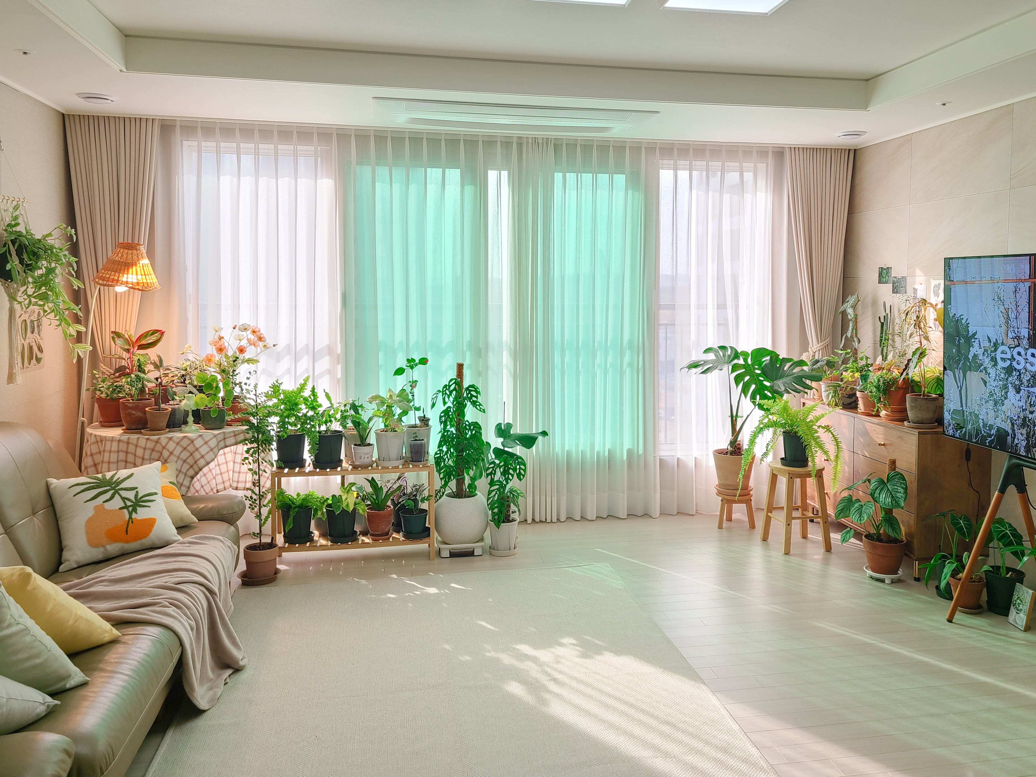Solid Wood Plant Stand user photo