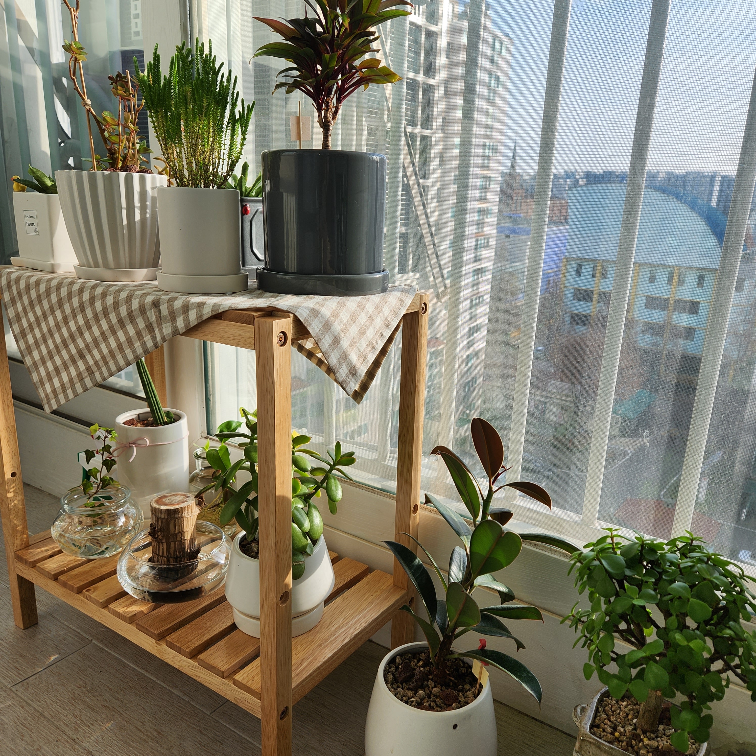 Solid Wood Plant Stand user photo