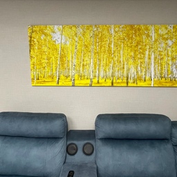 186*70 거실벽화, 자작나무 숲 와이드, 캔버스L형액자 초대형 smartstore.naver.com/the_art20
잘 포장되어서 왔고 좀 걱정을 하긴했는데 너무 깔끔하고 이쁜 질감의 벽화가 무사히 잘 도착했네요. 걸고나니까 분위기가 화사해지고 구매하기를 너무 잘했다는 생각이 듭니다. 추천할만한거같아요.
