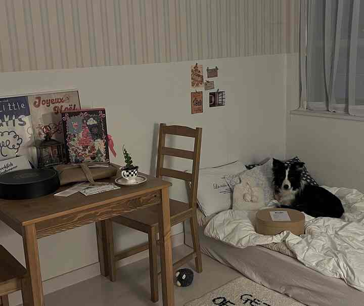 Bedroom with white walls and wood tone dining table, warm atmosphere featuring a dog on the bed by the window