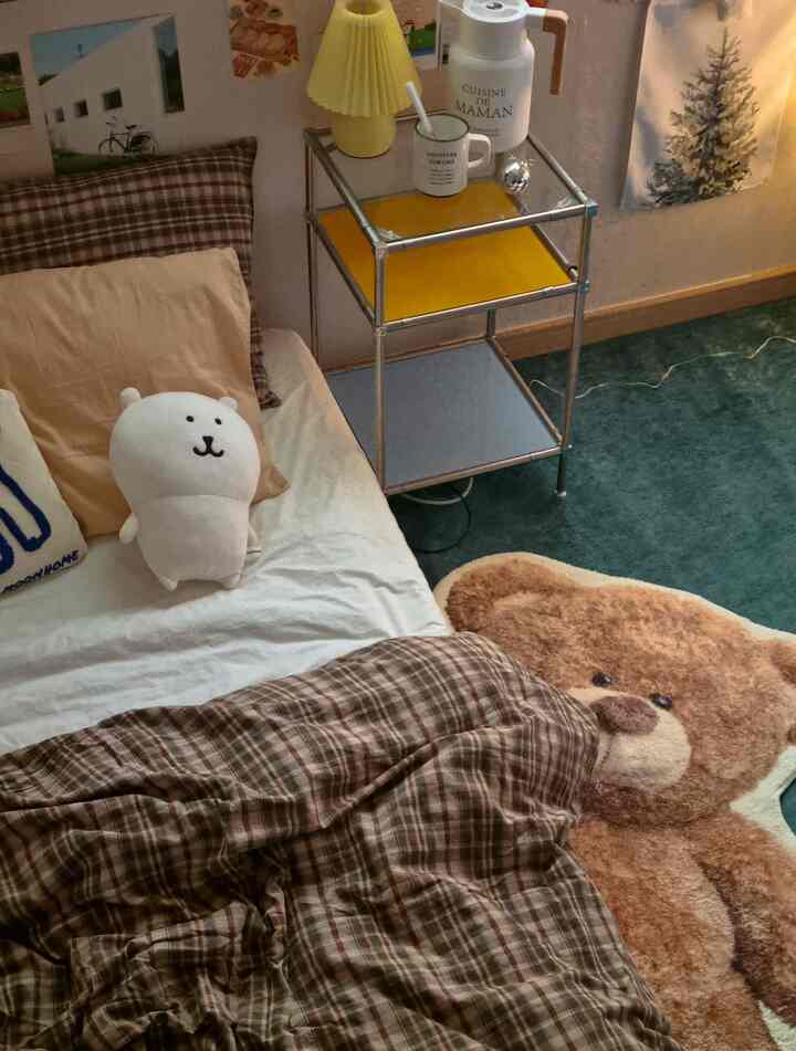 Cozy bedroom with brown checkered bedding and bear-shaped rug