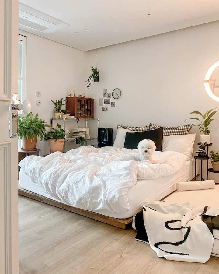 白とナチュラルカラーの寝室、中央にペットの犬がいるベッドと植物が配置された雰囲気のあるインテリア