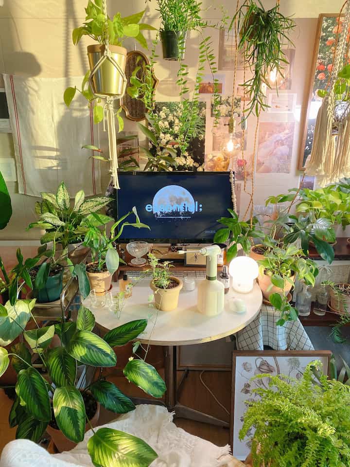 White-toned living room featuring numerous plants arranged on and around a desk, creating a natural and cozy atmosphere
