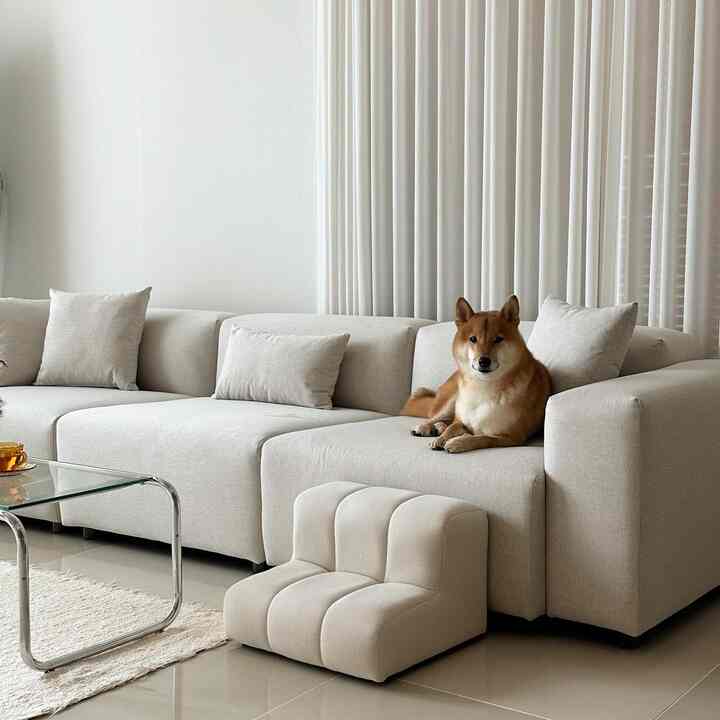 白とナチュラルの色調のリビング、広いソファとペットステップ、そしてくつろぐ犬が配置された雰囲気のあるインテリア