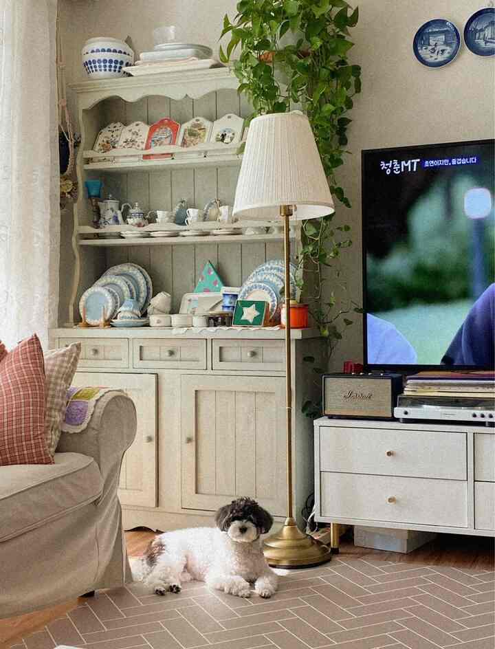 ベージュのソファと白い食器棚が配置されたナチュラルな色調のリビング、中央の床に犬が横たわっている雰囲気のある空間